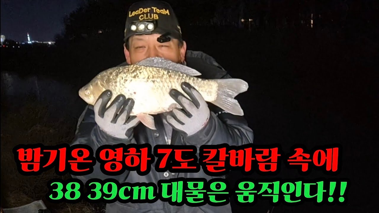 영하에 칼바람속에 대물은 움직인다!!