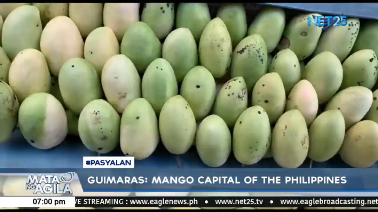 Guimaras: mango capital of the Philippines