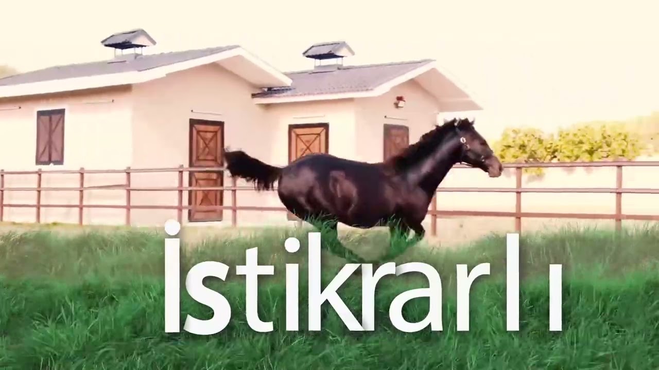 TOROK 2024 Aşım Sezonu