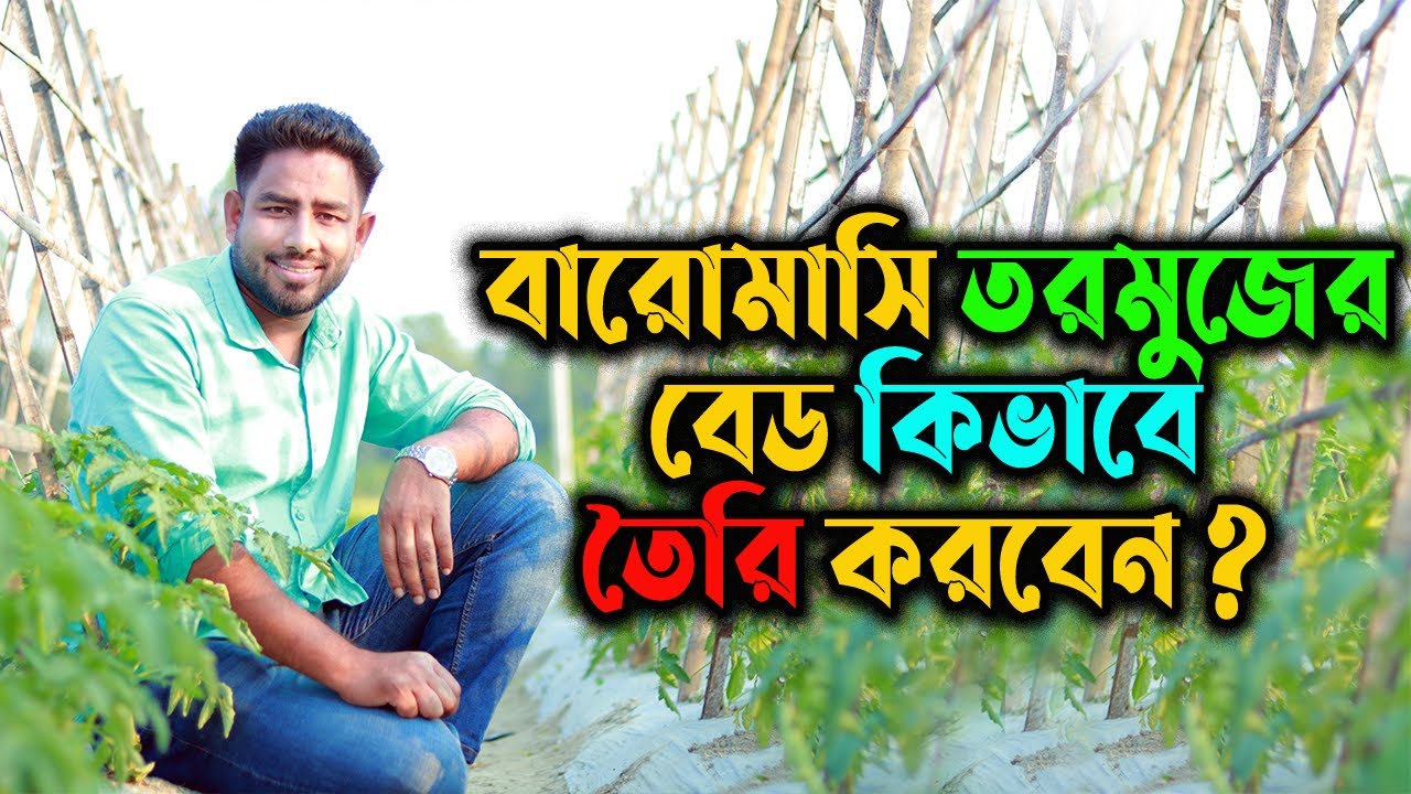 বারোমাসি তরমুজের বেড কিভাবে তৈরি করবেন ? Agro One - একটি আধুনিক কৃষি প্রচেষ্টা