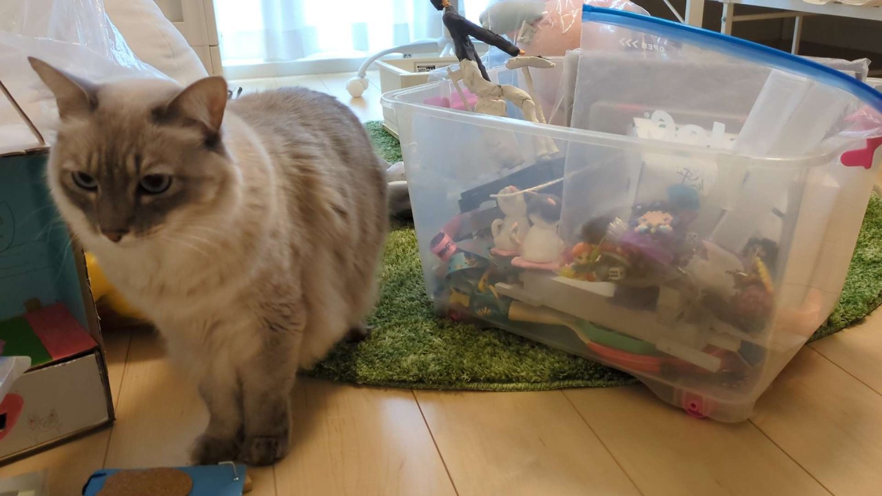 【オモチャ＆ぬいぐるみ】こども達と一緒に見直す時間をもちました♪