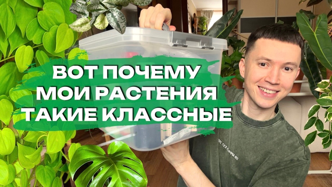 Что Реально Работает » Удобрения, которые я использую для своих Комнатных Растений