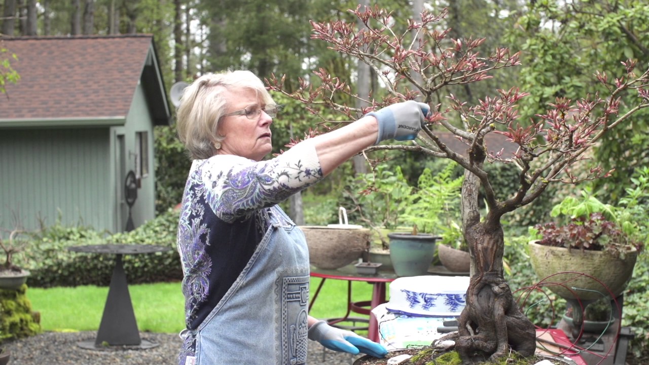 Pelvic Prolapse: Donna's Story