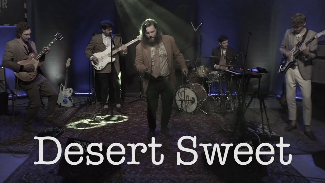 Federhall ehem. Desert Sweet Tonspur 2019