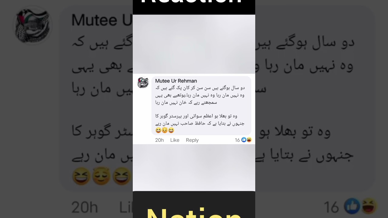 Reaction on Imran Khan's Picture #imrankhan #pti #funnyshorts #reactionnation