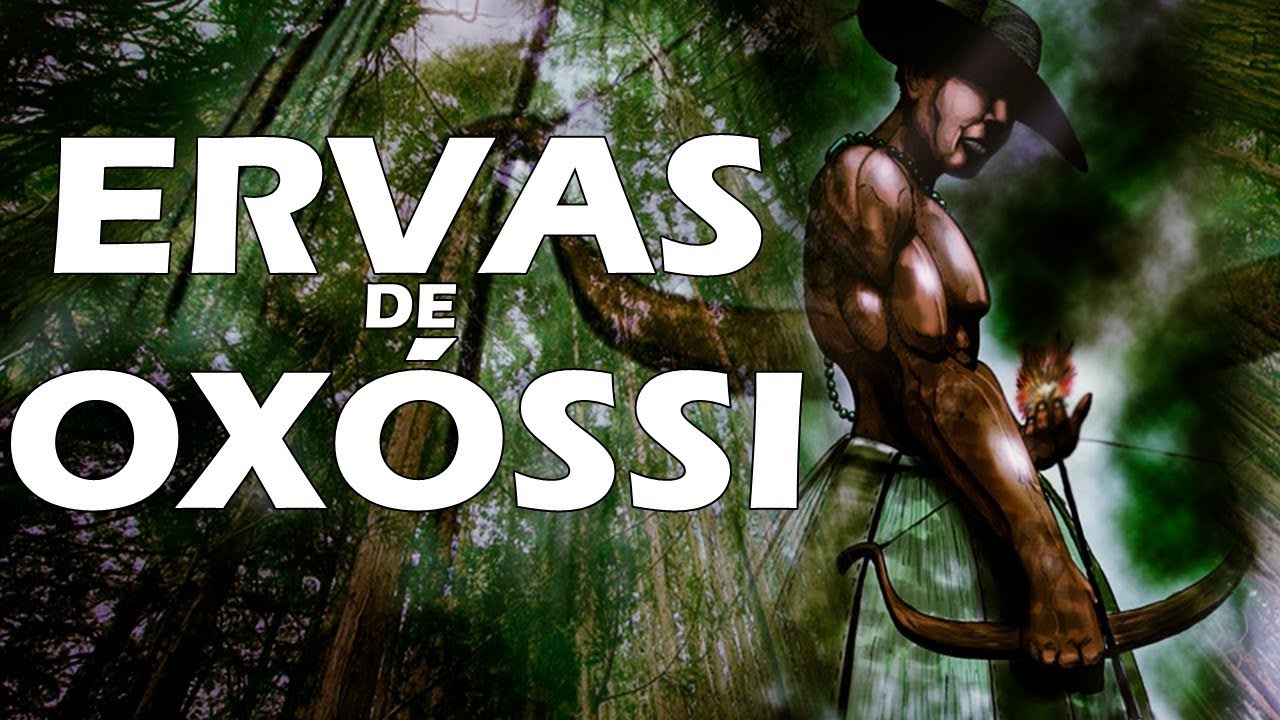 ERVAS DE OXÓSSI