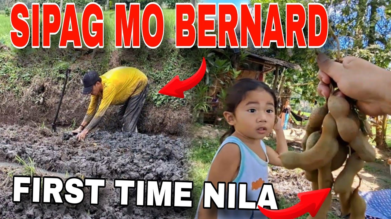 Sinampalukang Manok! Unang Tikim Nila! + Pagtatanim ng Takway! 