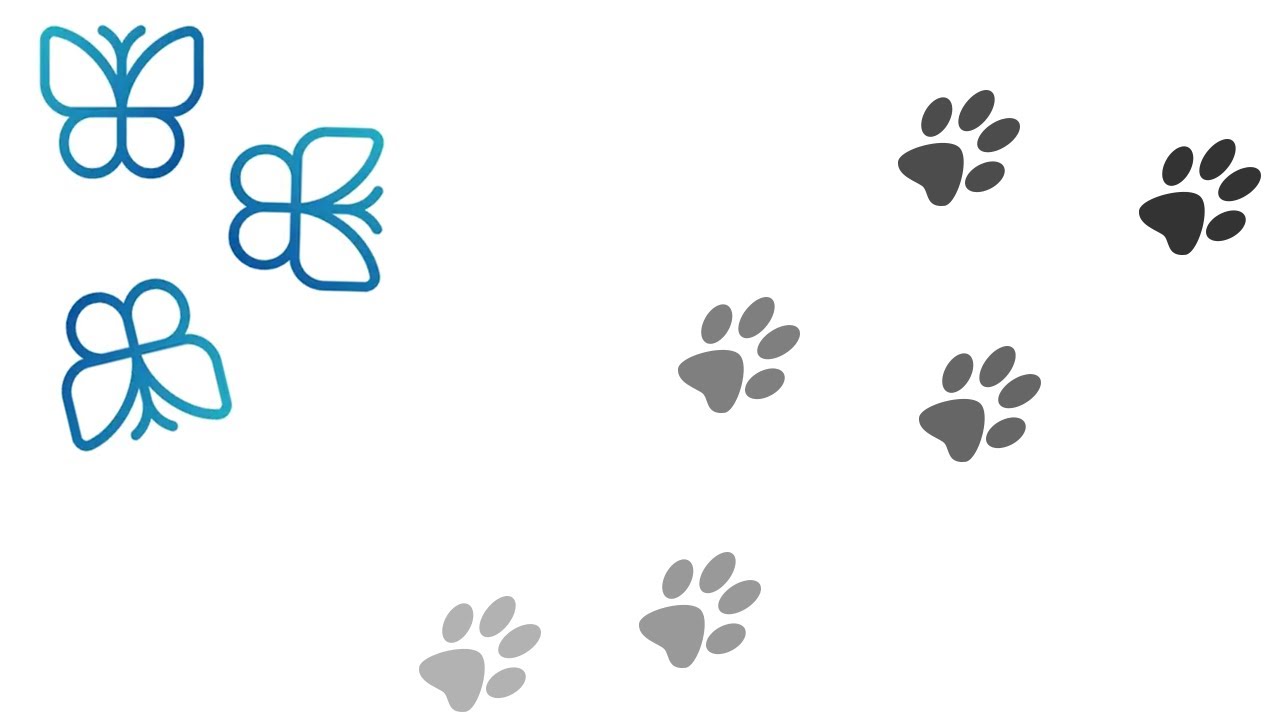 Анимационные сцены в Kocho