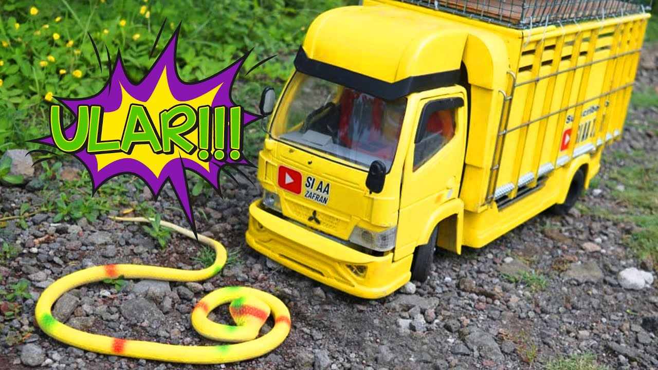 Cerita Lucu Truk Oleng Nabrak Ular