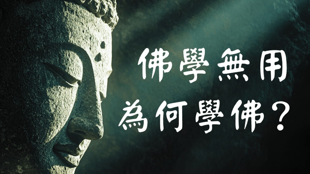 我研究佛法20年，最后发现&ldquo;学佛无用&rdquo;：禅宗最颠覆的智慧，让你彻底放下内耗。#禅宗#智慧#无为#无用 #佛法 #佛教 #内耗 #焦虑 #开悟 #禅修 #活在当下 #平常心是道 #顿悟 #无住禅心