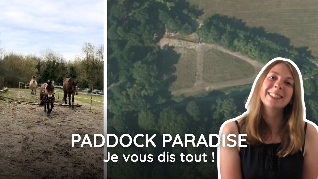 PADDOCK PARADISE : Budget ? 3 chevaux sur 8000m² ? Visite ? Retour d'expérience ? Je vous dis tout !