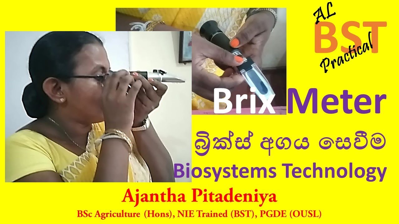 BST Practical | How to determine the Brix value | Biosystems Technology