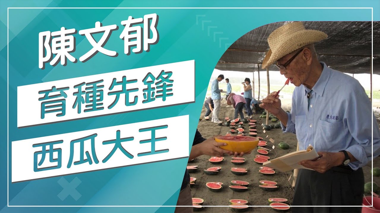 【草地狀元經典重現】育種先鋒西瓜大王