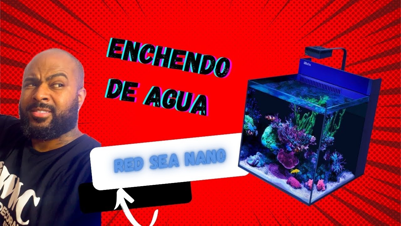 Enchendo o reef red sea