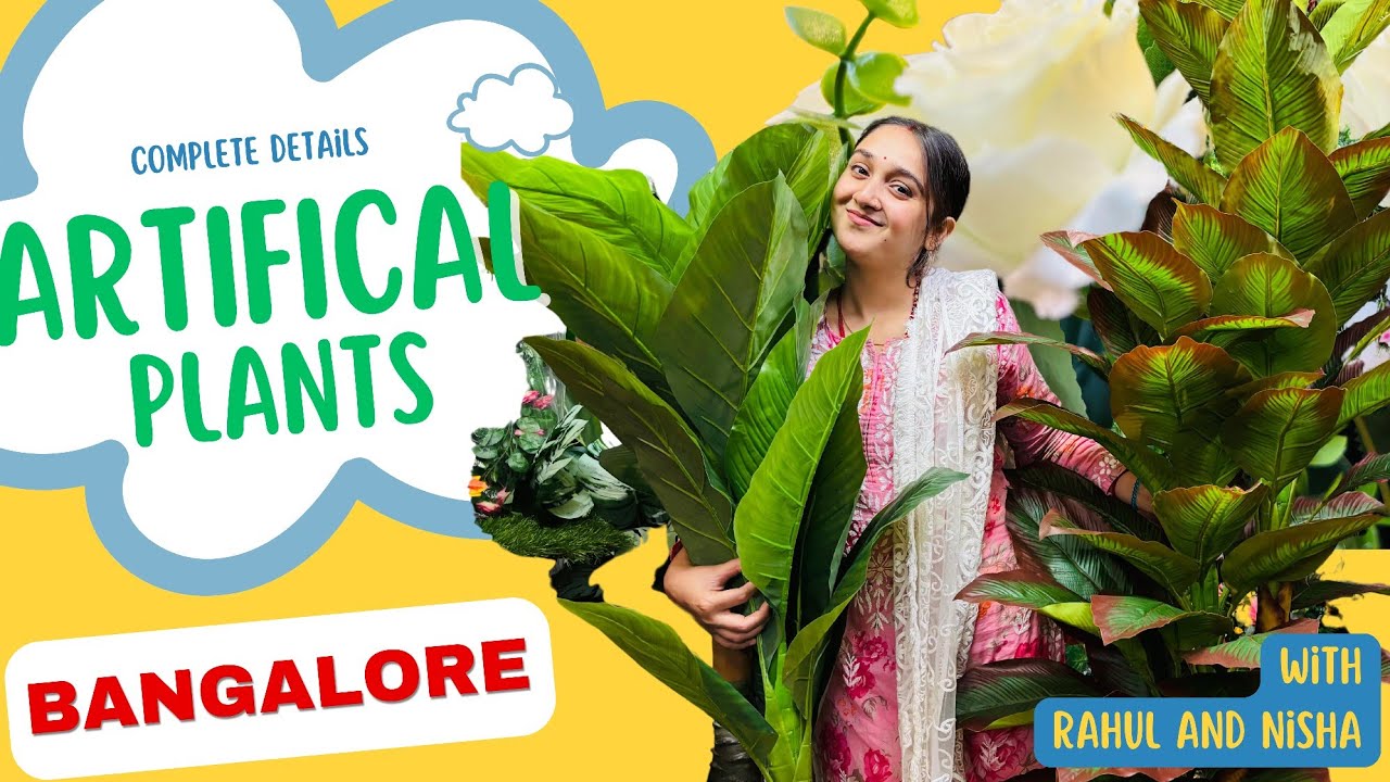 Best Artificial Plants in Bangalore | Detailed Video|