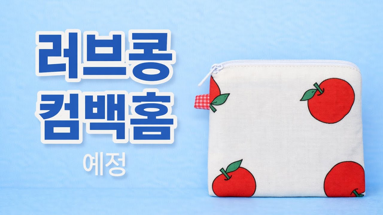 상가에서 집으로|러브콩 컴백홈| 라이너 파우치만들기