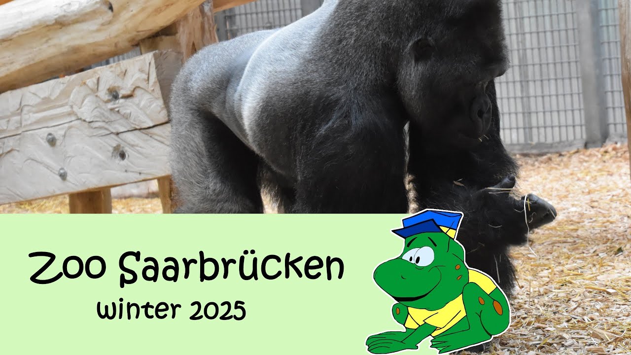 Zoo Saarbrücken, winter 2025