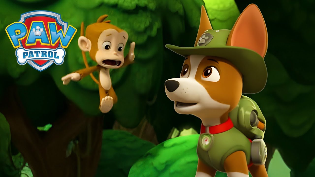 Tracker Helps a Cheeky Monkey! 🐒 - PAW Patrol - Cartoons for Kids