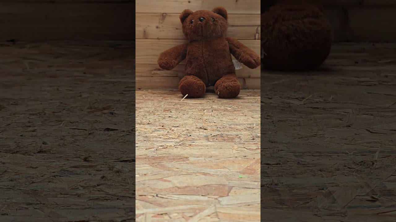 Stuff toy bear crush in pleaser heels #crushexperiment #asmrcrush #highheels #crushtest #Pebbles