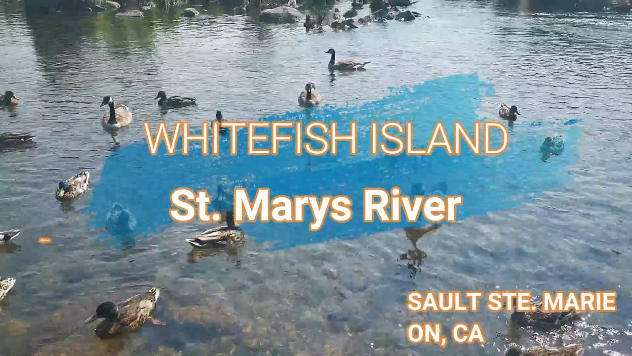 WHITEFISH ISLAND - Best fishing spot in Sault Ste. Marie 