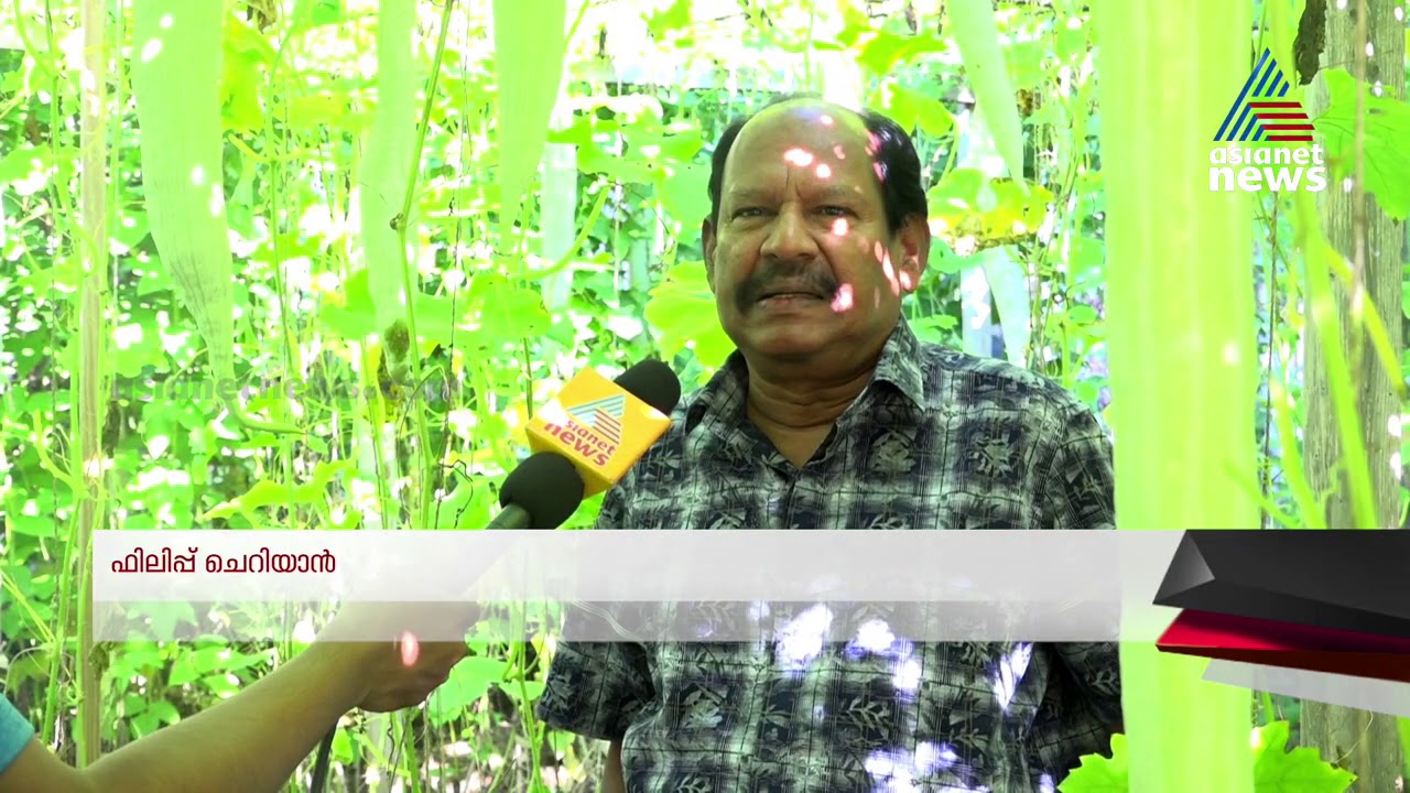 Organic Farming By Keralite In New York | America Ee Aazhcha 31 Aug 2020
