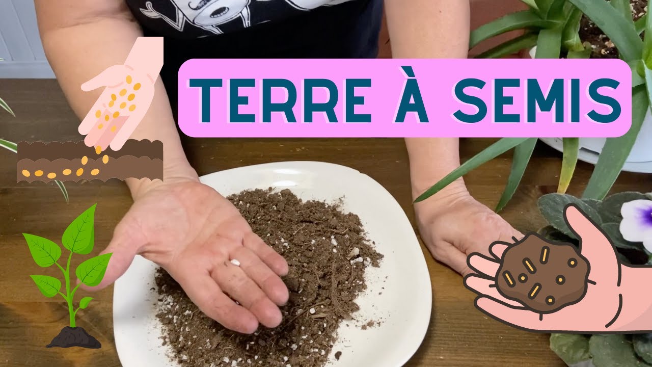 Quelle terre utiliser pour les semis? - capsule horticole