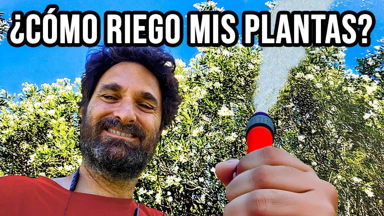 C&oacute;mo REGAR Correctamente las plantas? Consejos para Riego Manual y Riego Autom&aacute;tico