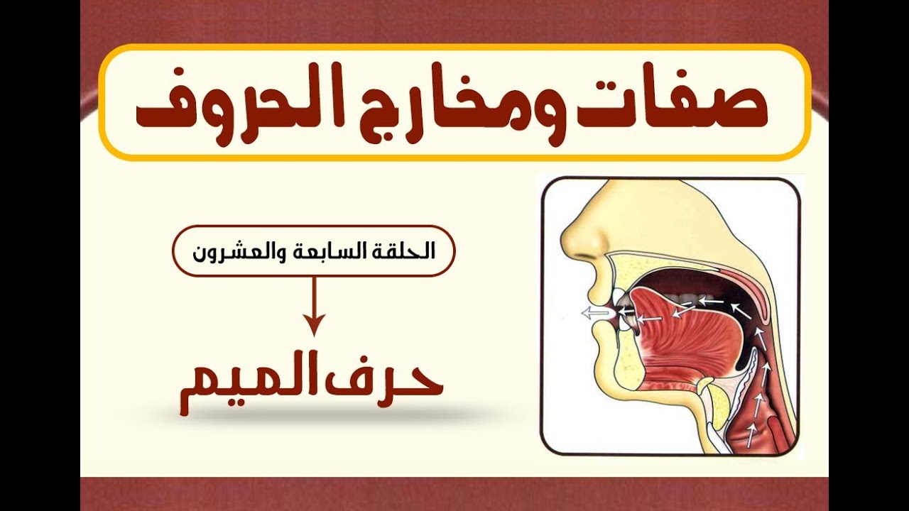 باب المخارج والصفات | حرف الميم (27)