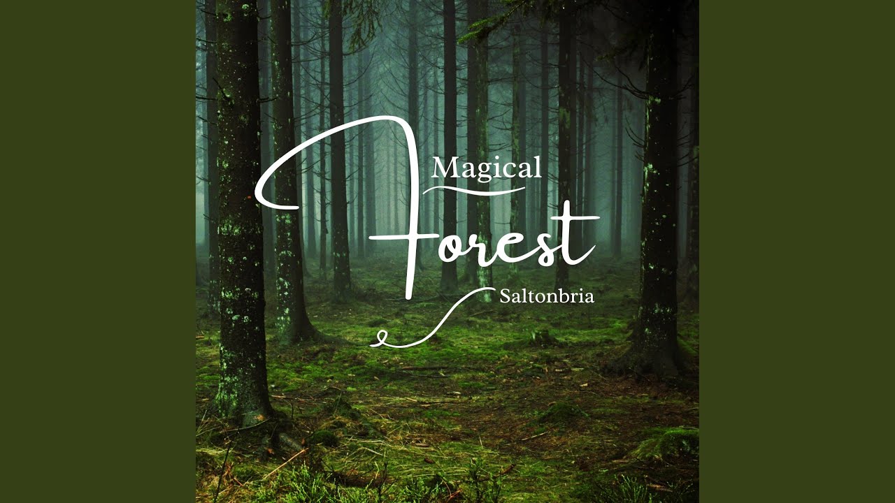 Magical Forest