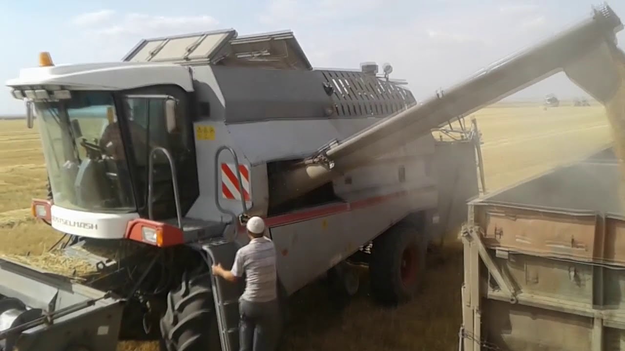 Уборка 2017...Полтавка and Титовка...КЛИП