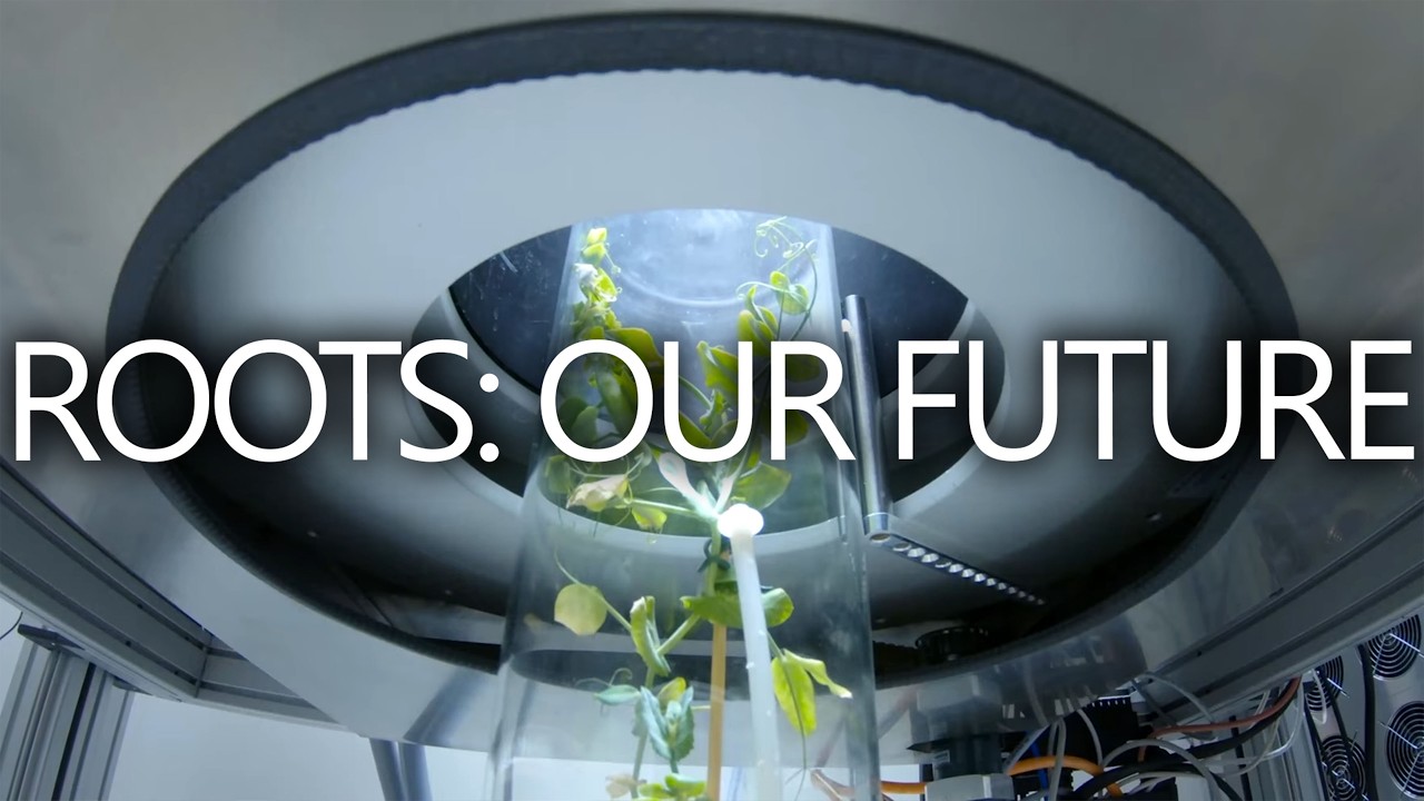 Roots - How Plants Could Save the Planet | Seed Documentary