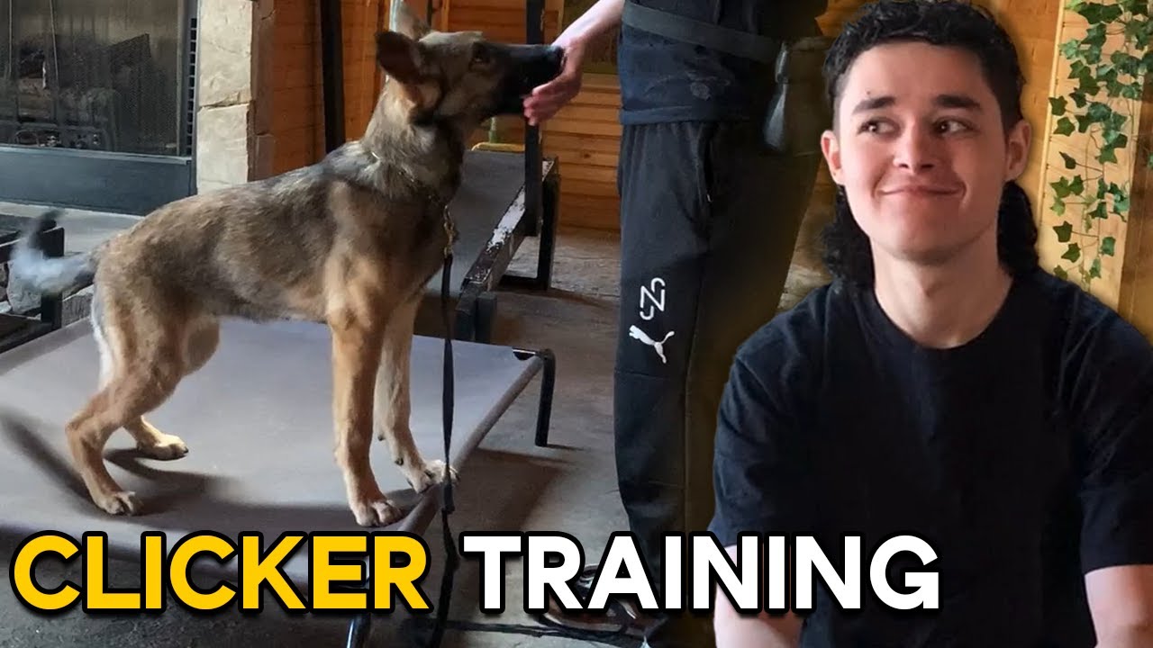 HANDSFREE Clicker Training
