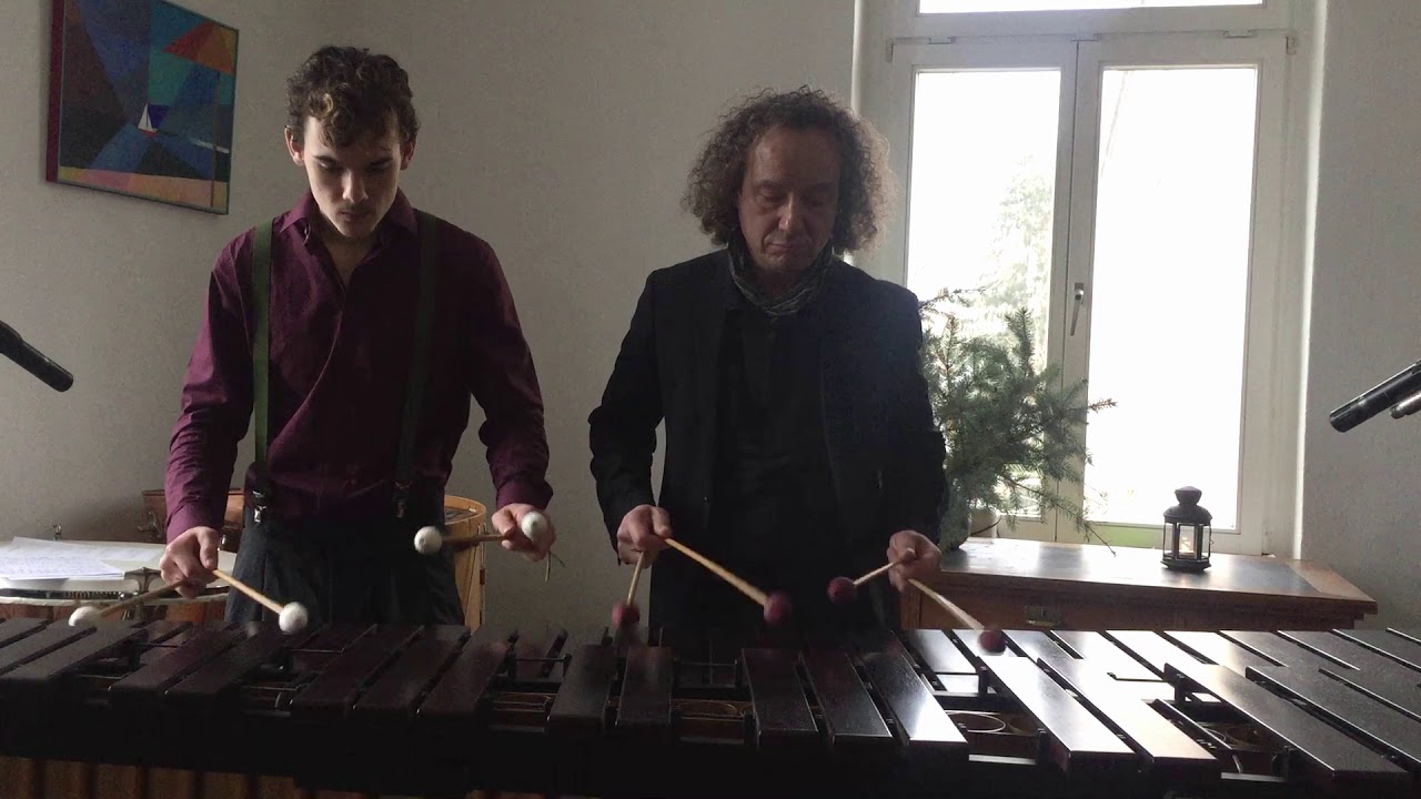 Amelie - Marimba Cover