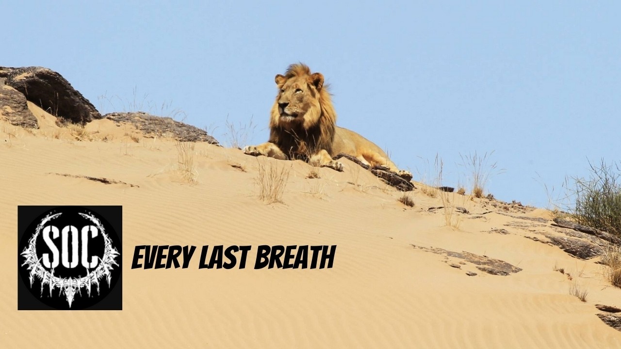 SOC - Every Last Breath [1st X Reaction]