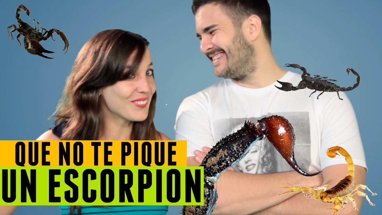 El veneno de los escorpiones
