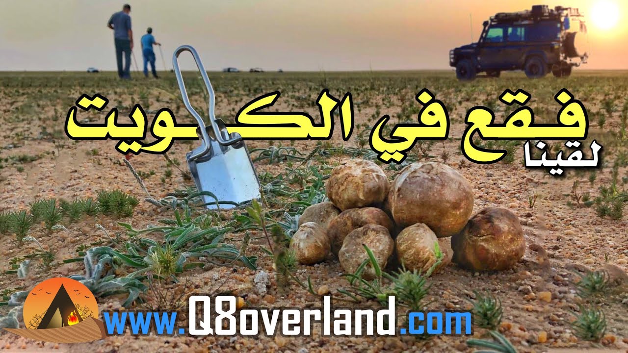 كشتة و لقط فقع في بر الكويت