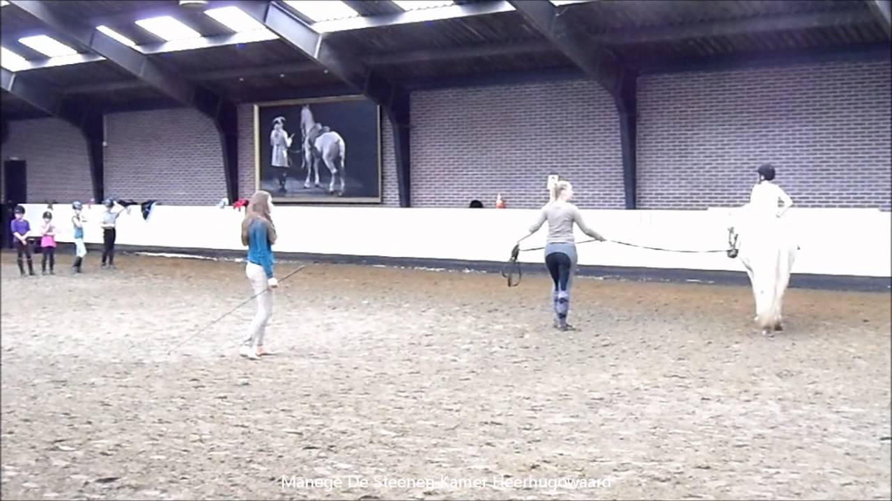 Manege De Steenen Kamer Ponykamp 2011