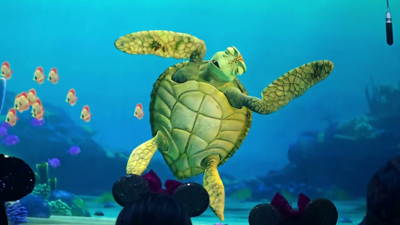 Funny! Turtle Talk With Crush At Disney World Resort Epcot 2025