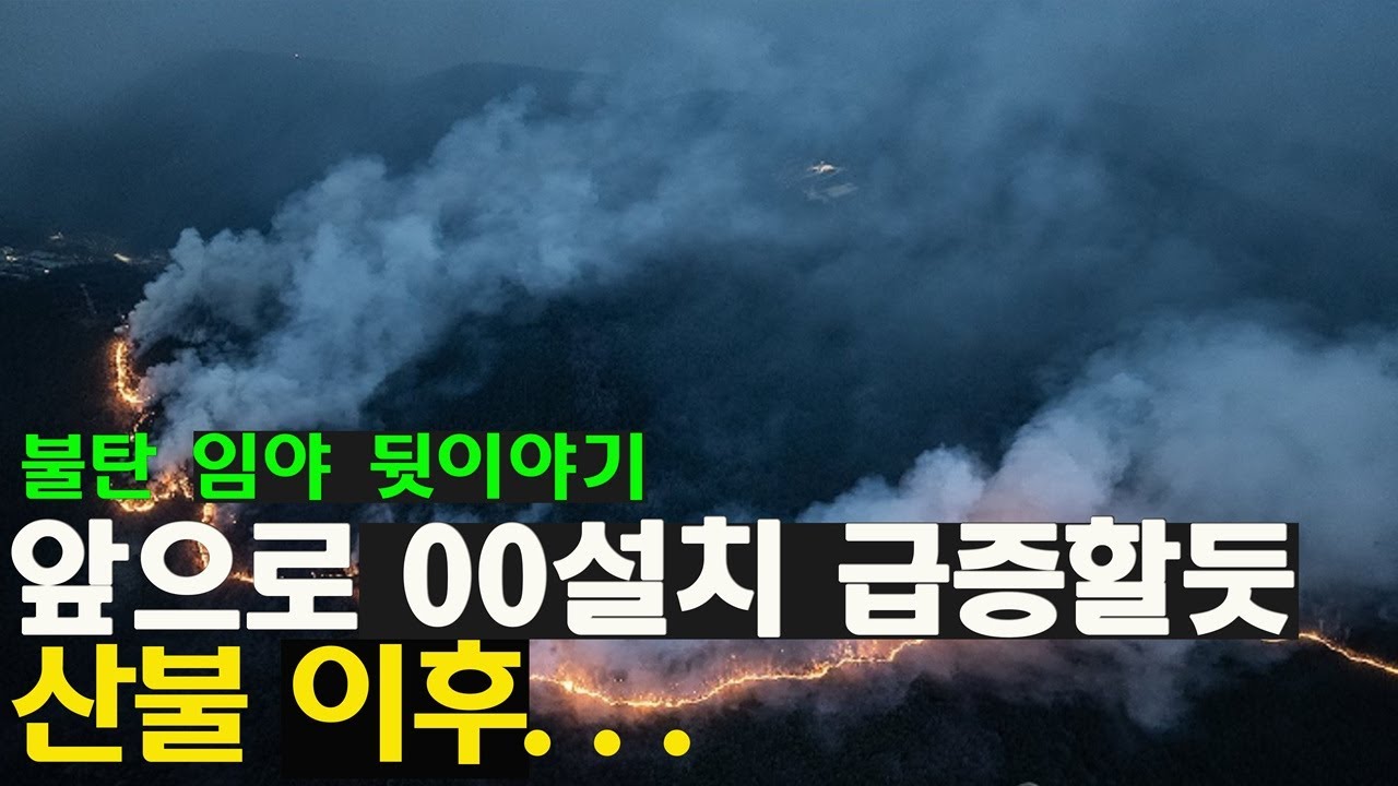 (이슈) 산불 이후 임야 어떻게 되나? 향후 산에 이것 설치가 급증한다. 보전과 개발의 기회가 공존하는 산림의 시대 전망