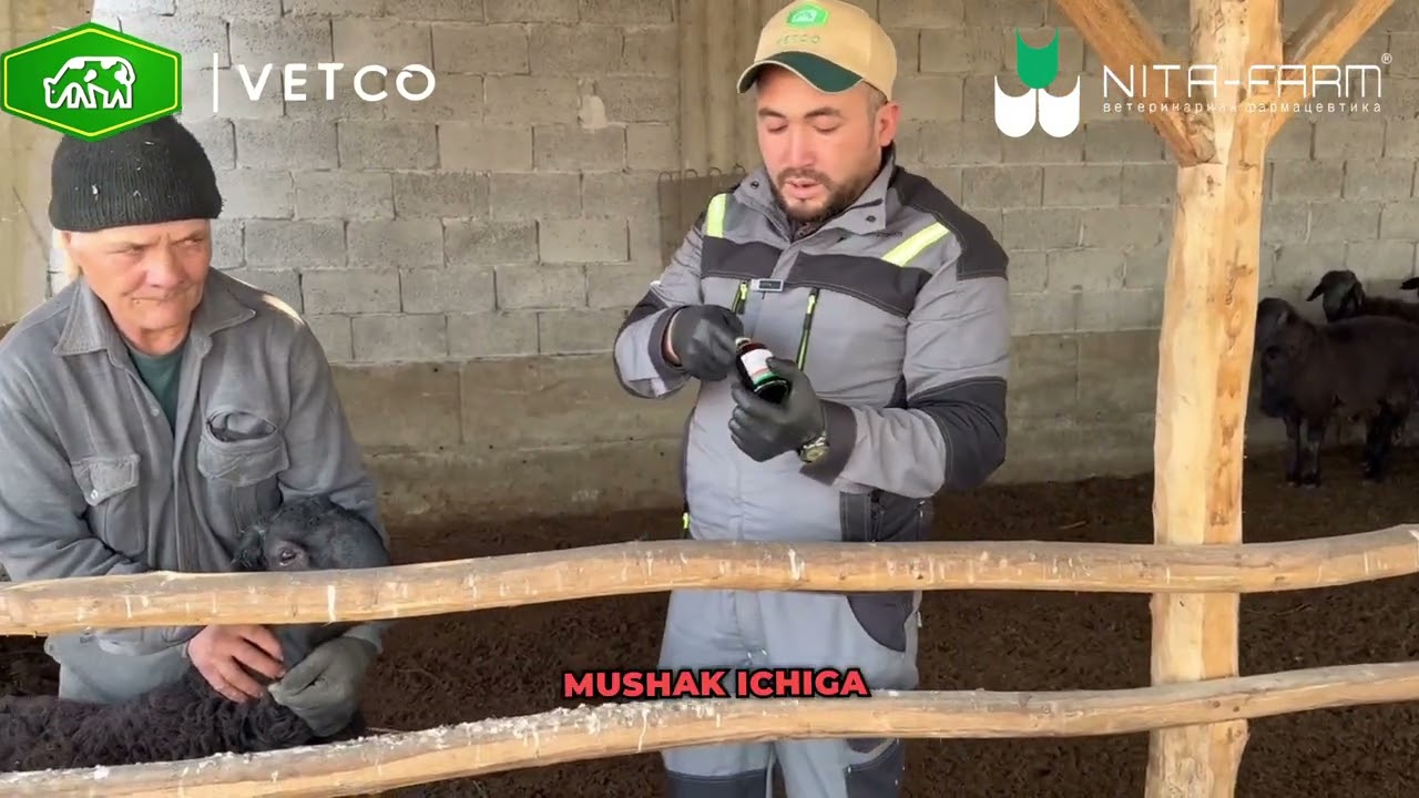 Doksilaks preparati qoʻllanishi .