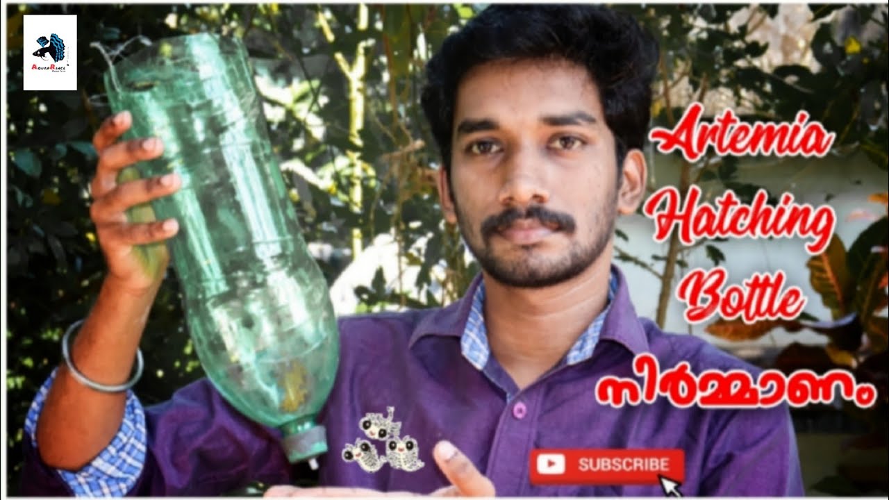 How To Make BrineShrimp Hatchery With Plastic Bottle|Artemia Hatching Bottle 