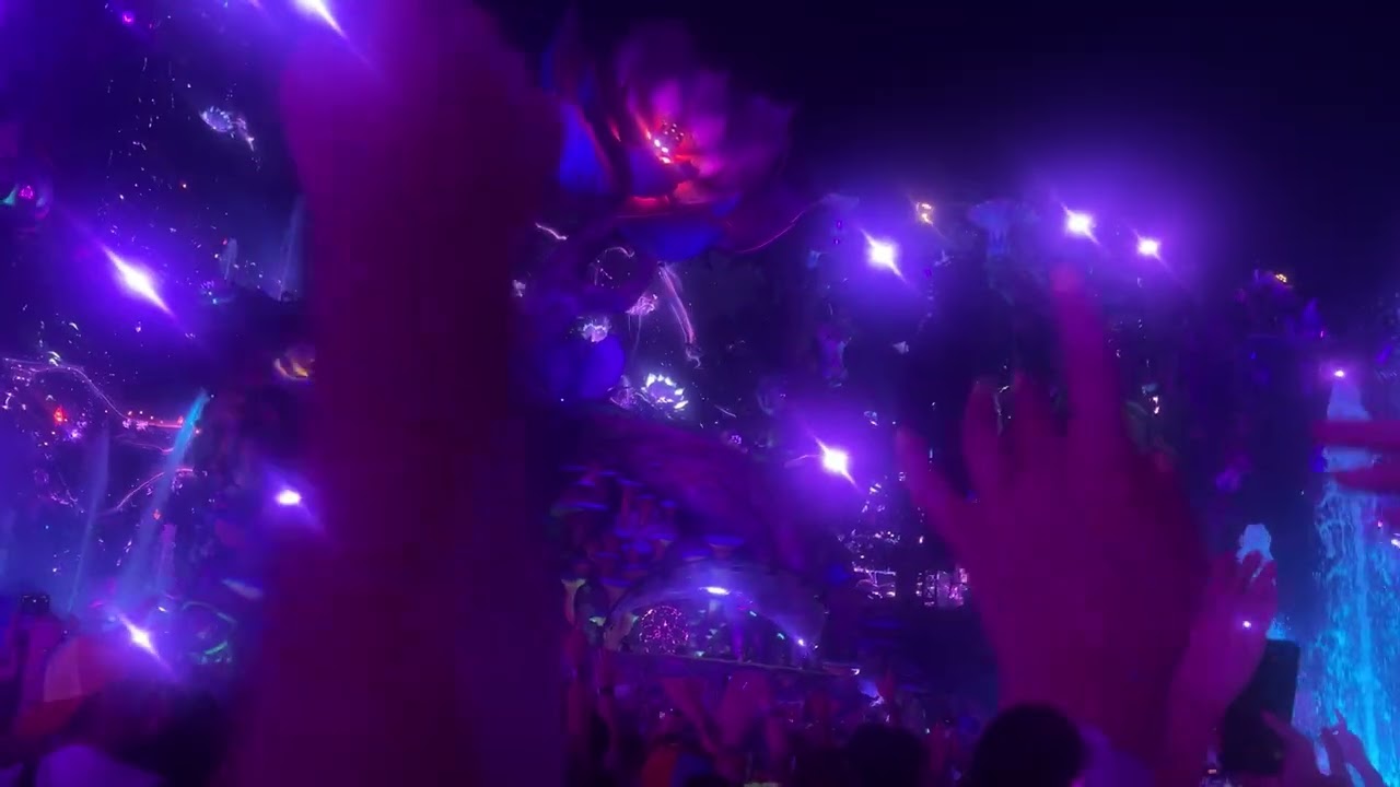 Swedish House Mafia - Somebody That I Used to Know x Calling - Tomorrowland 2024