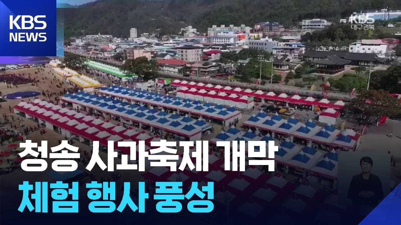청송 사과축제 개막&hellip;가을 북부권 축제 풍성 / KBS  2025.10.30.