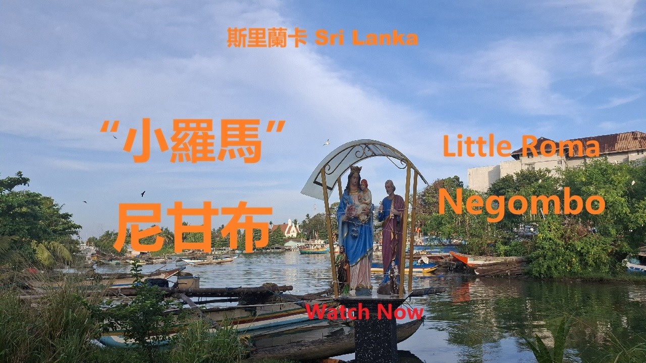 為什麼這座佛國斯里蘭卡小城滿大街都是耶穌或聖母像？實拍“小羅馬”尼甘布。Negombo, 