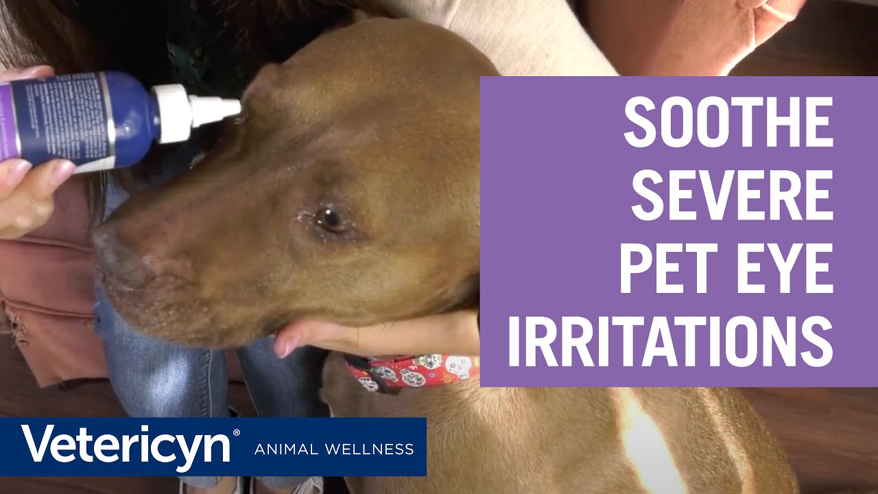 Antimicrobial Ophthalmic Gel relieves severe burning, stinging, and itching in pets' eyes