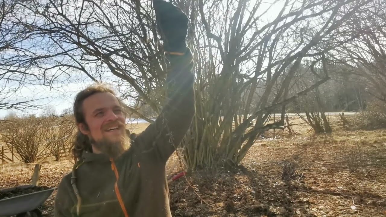 Buitenkeuken gebruiken, 250 winterstekken en afrastering || Mijn off-grid boerderij VLOG 40