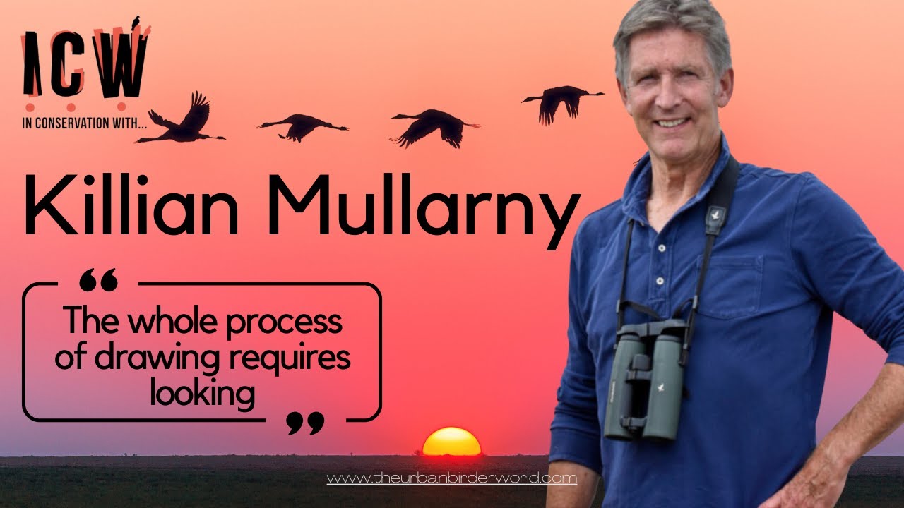 The Birder's Bible - Collins Bird Guide art with Killian Mullarney