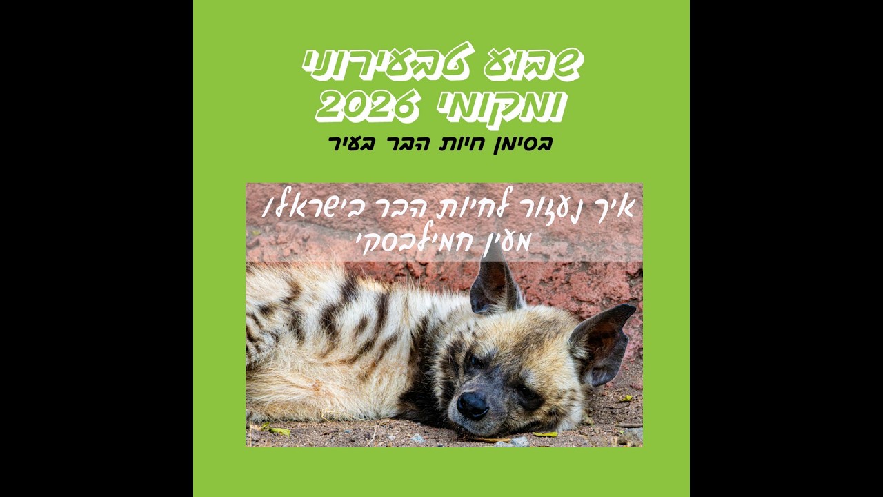 איך נעזור לחיות הבר בישראל/ מעין חמילבסקי