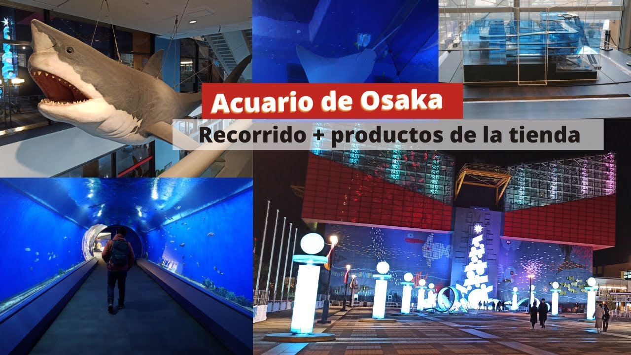 Acuario de Osaka Kaiyukan + Tienda de souvenirs del acuario + no podemos entrar a legoland