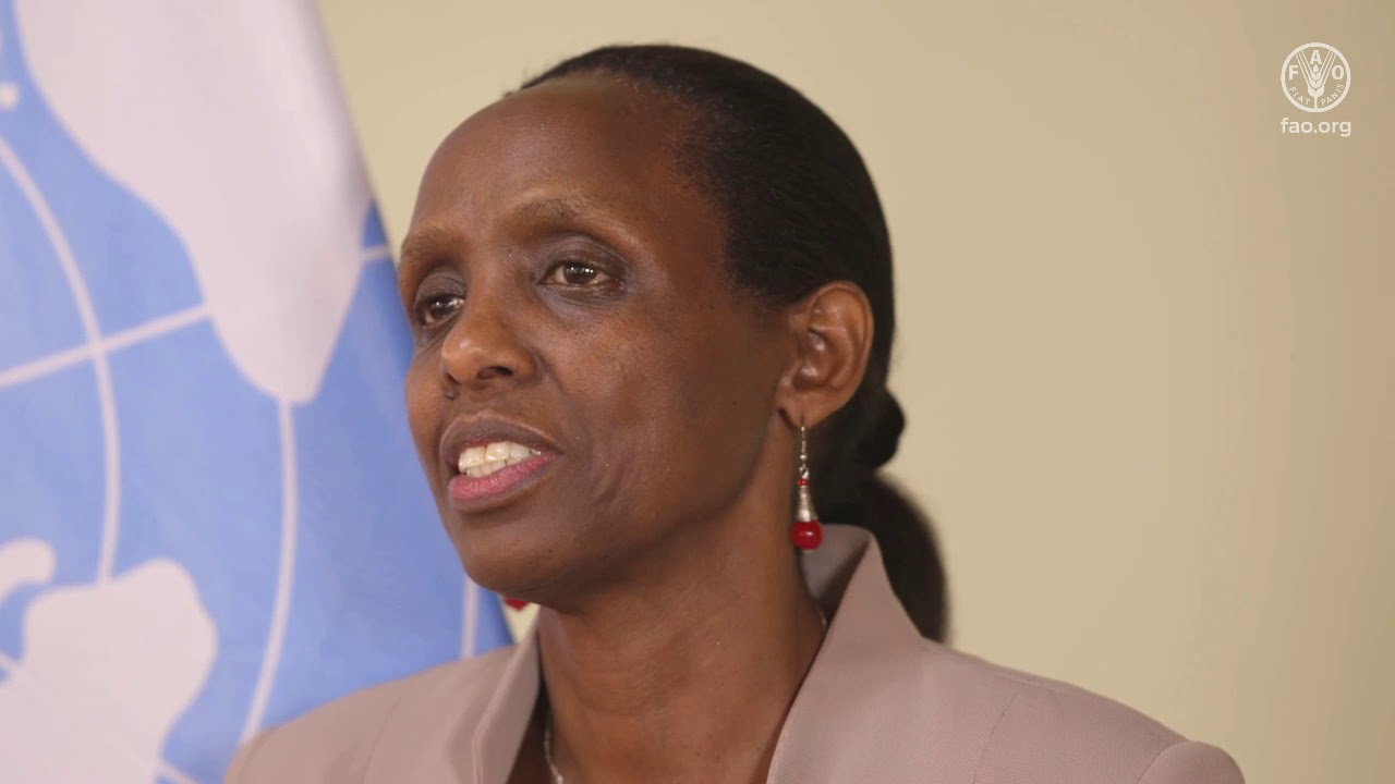 United Nations Secretary-General&rsquo;s Special Envoy for the 2021 Food Systems Summit